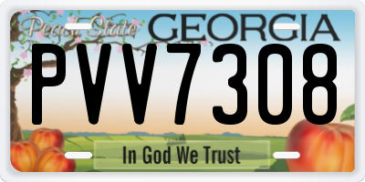 GA license plate PVV7308