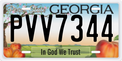 GA license plate PVV7344