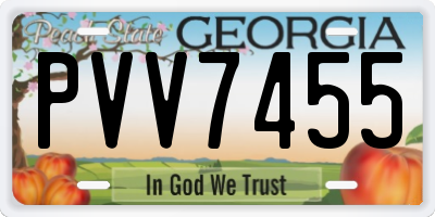 GA license plate PVV7455