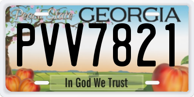 GA license plate PVV7821