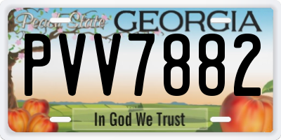 GA license plate PVV7882