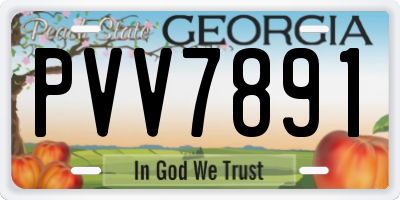 GA license plate PVV7891
