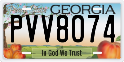 GA license plate PVV8074