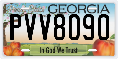 GA license plate PVV8090