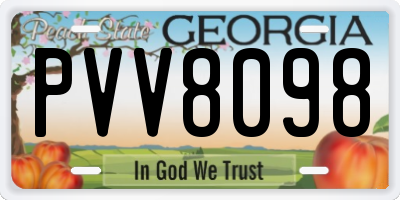 GA license plate PVV8098