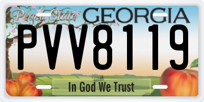 GA license plate PVV8119