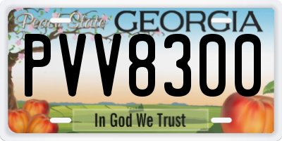 GA license plate PVV8300