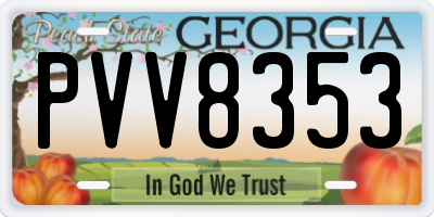 GA license plate PVV8353