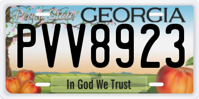GA license plate PVV8923