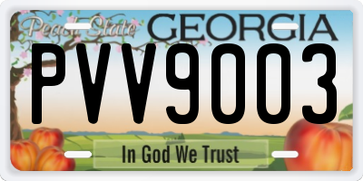 GA license plate PVV9003