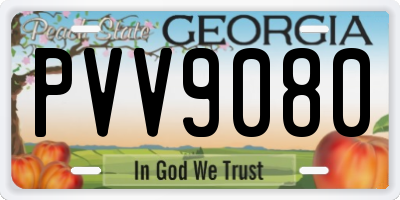 GA license plate PVV9080