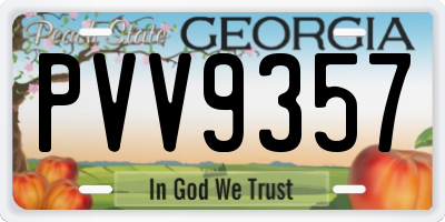 GA license plate PVV9357
