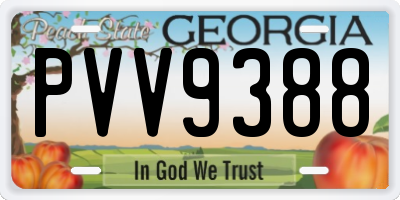 GA license plate PVV9388