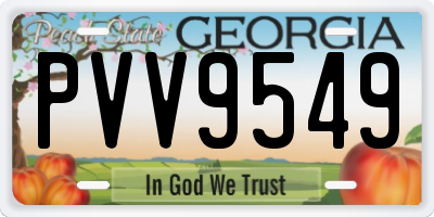 GA license plate PVV9549