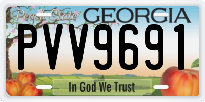 GA license plate PVV9691