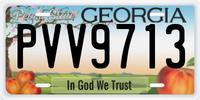GA license plate PVV9713