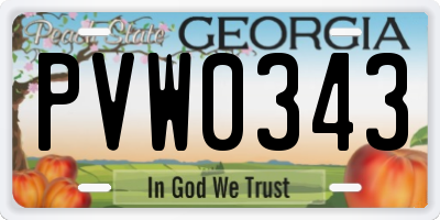 GA license plate PVW0343