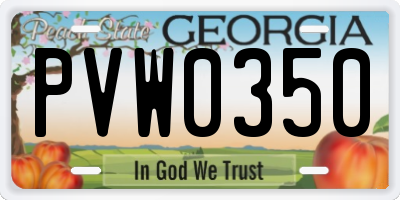 GA license plate PVW0350