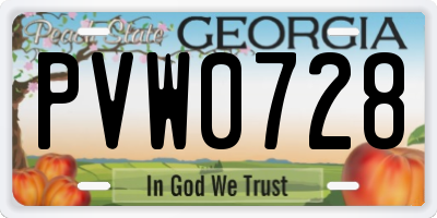 GA license plate PVW0728