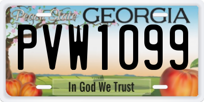 GA license plate PVW1099