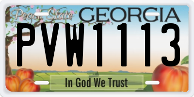 GA license plate PVW1113