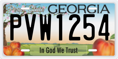 GA license plate PVW1254