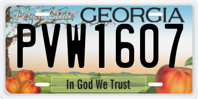 GA license plate PVW1607