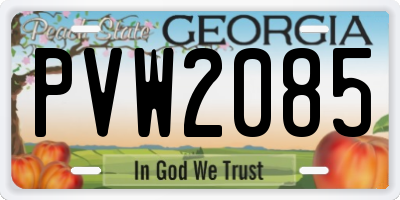GA license plate PVW2085