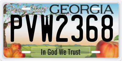 GA license plate PVW2368