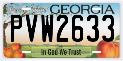 GA license plate PVW2633