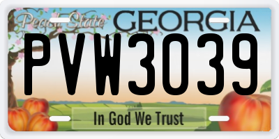 GA license plate PVW3039