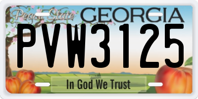 GA license plate PVW3125