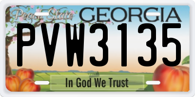 GA license plate PVW3135