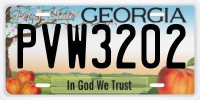 GA license plate PVW3202