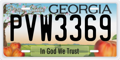GA license plate PVW3369