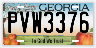 GA license plate PVW3376