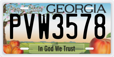 GA license plate PVW3578