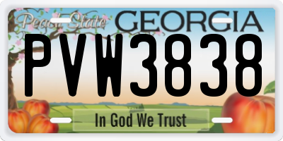 GA license plate PVW3838