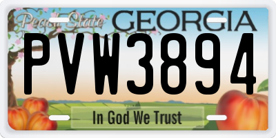 GA license plate PVW3894