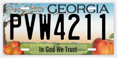 GA license plate PVW4211