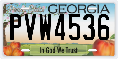 GA license plate PVW4536