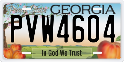 GA license plate PVW4604