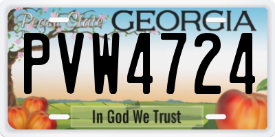 GA license plate PVW4724