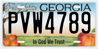 GA license plate PVW4789