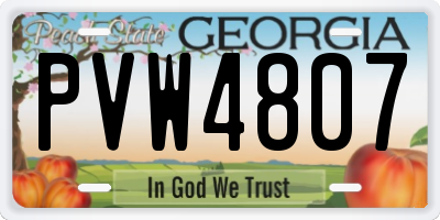 GA license plate PVW4807