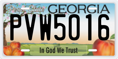 GA license plate PVW5016