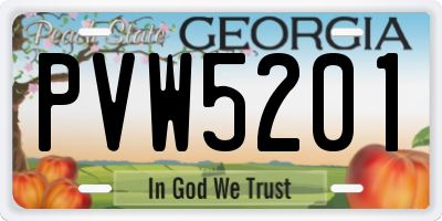 GA license plate PVW5201