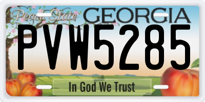 GA license plate PVW5285