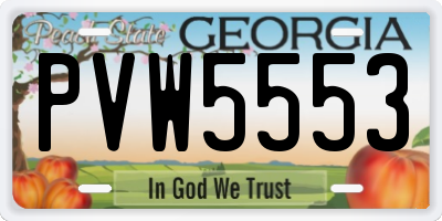 GA license plate PVW5553