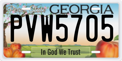 GA license plate PVW5705